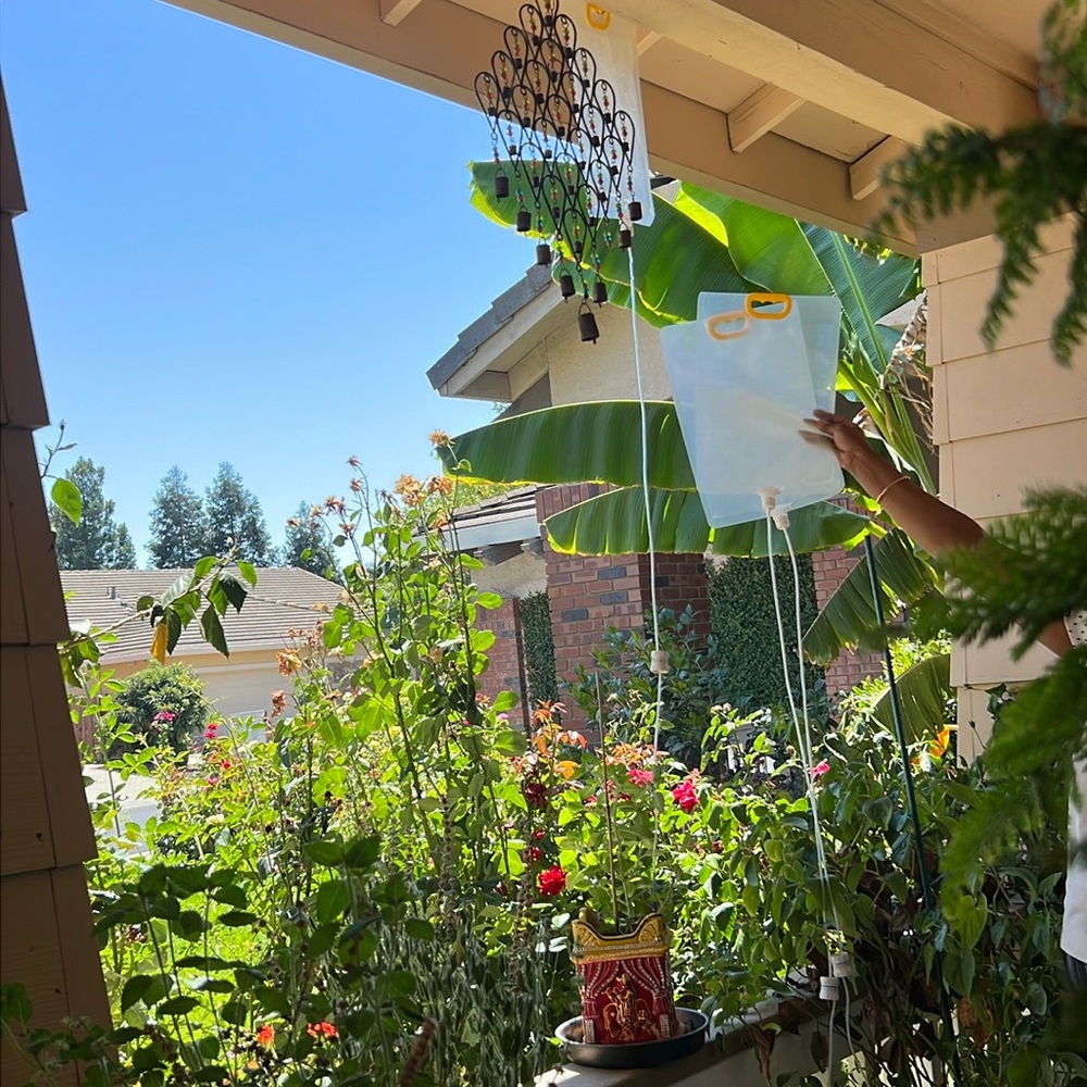 Plant watering system-IV